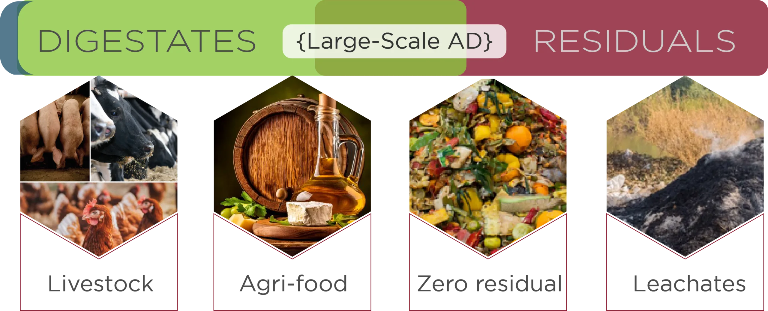 Sector-LSAD-Resid@4x
